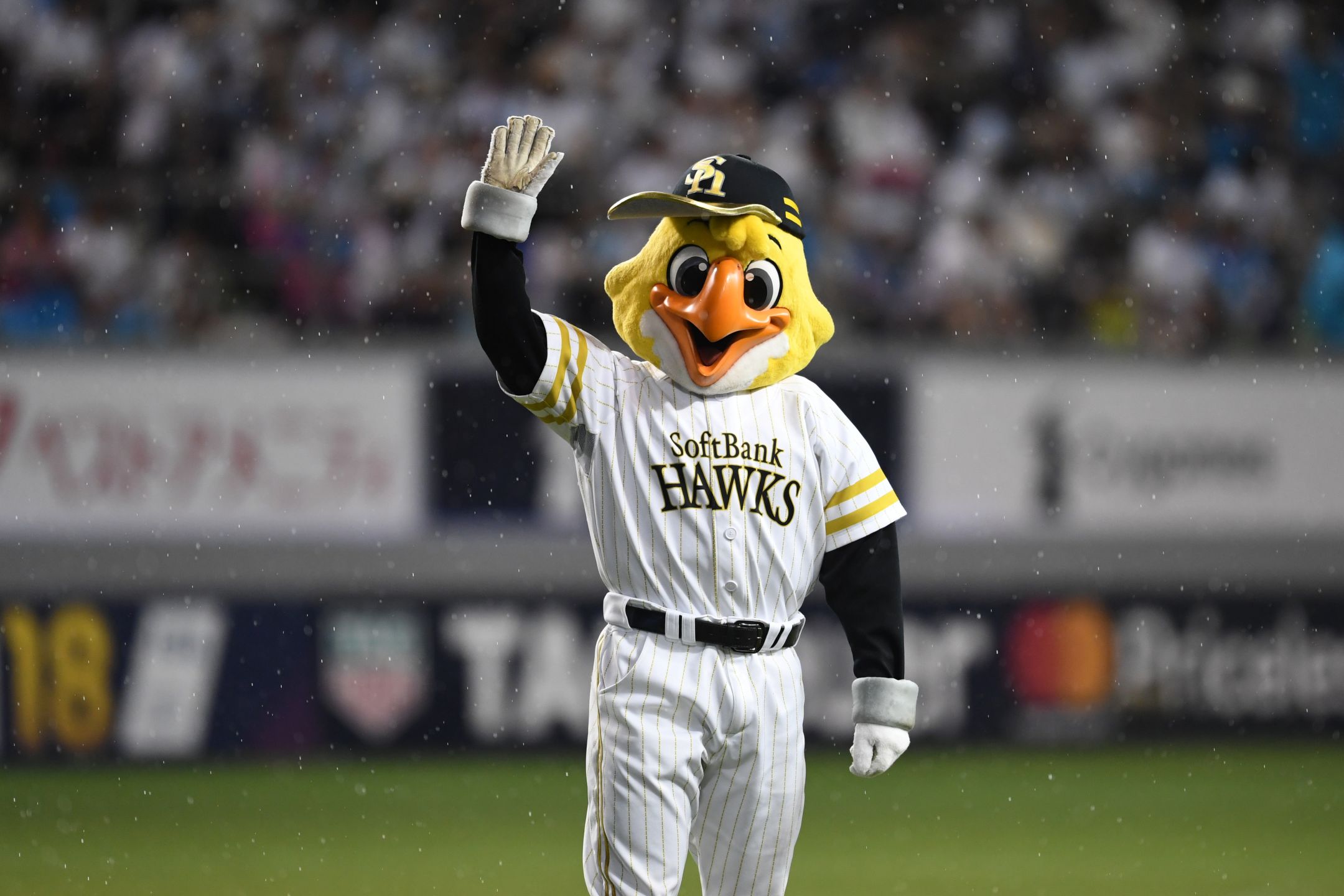 DAZN acquires rights for Nippon Professional Baseball pre-season SportBusiness