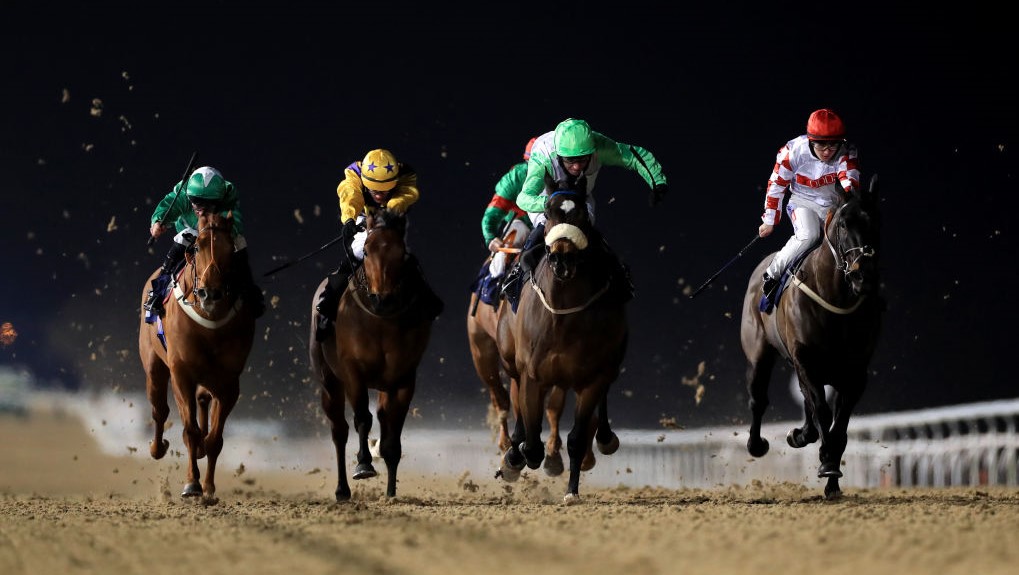 Sport Horse Racing Sportbusiness