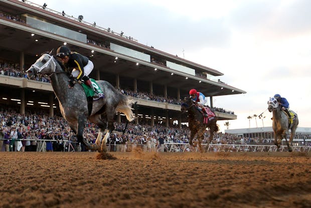 Jockey Joel Rosario rides Knicks Go to win Breeders' Cup Classic at Del Mar Race Track (Photo by Rob Carr/Getty Images)