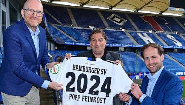 Hamburger SV  SportBusiness