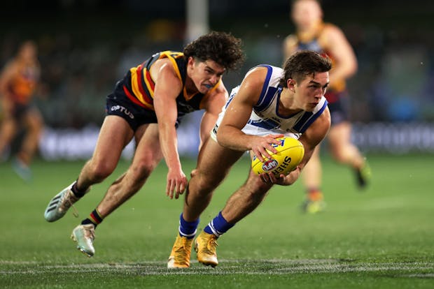 Adelaide Crows take on North Melbourne Kangaroos at the Adelaide Oval in South Australia. (Photo by Daniel Kalisz/Getty Images)