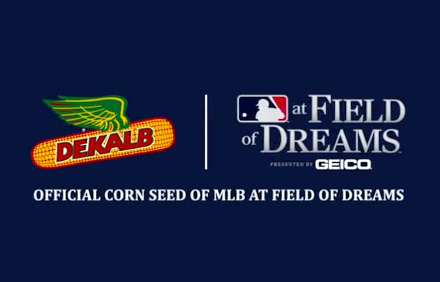Dekalb named official corn seed of 2022 MLB 'Field of Dreams' game