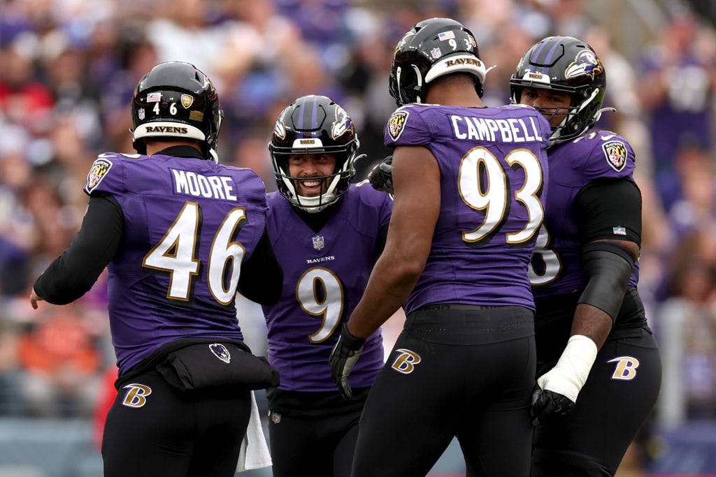 Team Sports America Baltimore Ravens 12-in H x 7-in W Purple